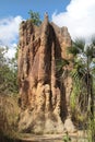 Australien, NT, Termite Mound Royalty Free Stock Photo