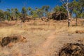 Australia, hiking in the outback, Undara Volcanic National Park