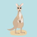 Australia kangaroo animal mother with child in pocket on blue background. Vector illustration of isolated australian Royalty Free Stock Photo