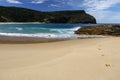 Australia: kangaroo tracks on beach h Royalty Free Stock Photo