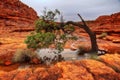 Australia Kings Canyon