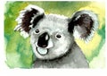 watercolor koala