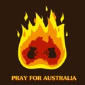 Australia and koalas silhouette in fire.