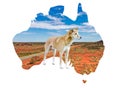 Australia map with outback country view and dingo Royalty Free Stock Photo
