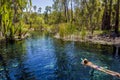 young women is swiming in mataranka hot springs in waterhouse river, mataranka, northern territory, australia Royalty Free Stock Photo