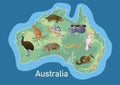 Australia, animals, stickers, set, nambat, lepidopod, papuan pig, ducbill, kangaroo, koala Cockatoo inc.