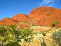 Australia Outback Olgas canyon Royalty Free Stock Photo