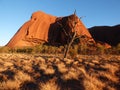 Australia, outback, Uluru Royalty Free Stock Photo