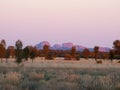 Australia, outback, Uluru Royalty Free Stock Photo