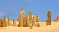 Australia: Pinnacles desert