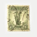 Australia postage stamp with lyrebird Royalty Free Stock Photo