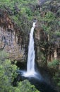 Australia Queensland Waterfall in rainforest