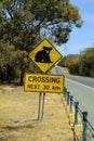 Australia, Warning Sign for Koala Royalty Free Stock Photo