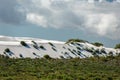 Australia sand dunes into the bush