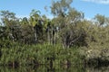 Australia, Yellow Water in Kakadu National Park