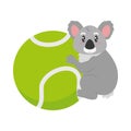 australia tennis koala