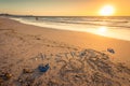 Australia text with thongs, flag and sunglasses on beach