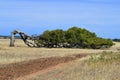 Australia, WA, Greenough, Leaning Tree