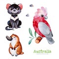 Cute collection with Tasmanian devil,platypus,cockatoo,stones Royalty Free Stock Photo