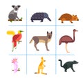 Australia wild animals cartoon popular nature characters flat style and australian mammal aussie native forest