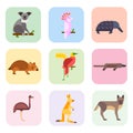 Australia wild animals cartoon popular nature characters flat style and australian mammal aussie native forest