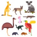 Australia wild animals cartoon popular nature characters flat style and australian mammal aussie native forest