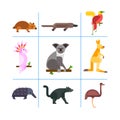 Australia wild animals cartoon popular nature characters flat style and australian mammal aussie native forest