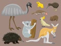 Australia wild animals cartoon popular nature characters flat style mammal collection vector illustration. Royalty Free Stock Photo