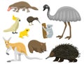 Australia wild animals cartoon popular nature characters flat style mammal collection vector illustration. Royalty Free Stock Photo