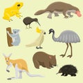 Australia wild animals cartoon popular nature characters flat style mammal collection vector illustration. Royalty Free Stock Photo