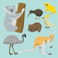 Australia wild animals cartoon popular nature characters flat style mammal collection vector illustration. Royalty Free Stock Photo