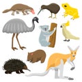 Australia wild animals cartoon vector collection Royalty Free Stock Photo