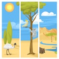 Australia wild background landscape animals cartoon popular nature flat style australian native forest illustration.