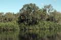 Australia, Yellow Water in Kakadu National Park