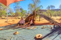 Australian Aboriginal cultural tour Royalty Free Stock Photo