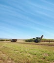 Australian agriculture sugarcane harvesting Royalty Free Stock Photo