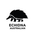 Australian animal echidna vector black silhouette logo icon illustration design isolated white background