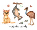 Australian animals clip art  watercolor animals isolated  wild nature  kangaroo  emu  opossum  little wild friends clipart Royalty Free Stock Photo