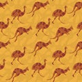 Australian animals pattern
