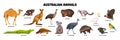 Australian Animals Set