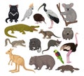 Australian animals set. Kangaroo, wild dog dingo, marsupial bear, koala, echidna, platypus, wombat cartoon vector Royalty Free Stock Photo