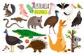 Australian animals. Vector animal icons of Australia, kangaroo and koala, wombat and ostrich emu Royalty Free Stock Photo