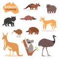 Australian animals vector animalistic character in wildlife Australia kangaroo koala and platypus illustration set of Royalty Free Stock Photo