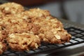 Australian Anzac biscuits Royalty Free Stock Photo