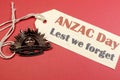 Australian ANZAC Day WW1 Rising Sun Hat Badge with Lest We Forget message Royalty Free Stock Photo