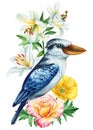 Australian bird and flower, kookaburra isolated white background. Watercolor hand drawn painting. Wildlife bird clipart Royalty Free Stock Photo