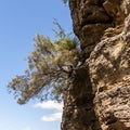 Australian Blue Mountains. Close up image. Located at Echo Point Katoomba, New South Wales, Australia Royalty Free Stock Photo