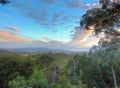 Australian bush view