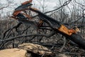 Australian bushfire aftermath: burnt trees debris Royalty Free Stock Photo