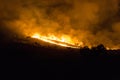 australian bushfire of a forrest at Night in the nothern territory Royalty Free Stock Photo